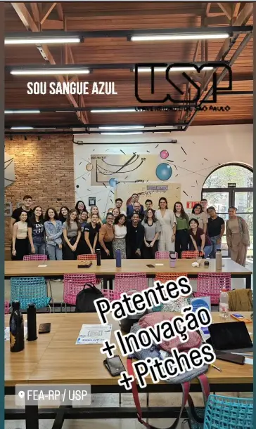 Avaliação de pitches FEA-RP/USP Profa. Simone